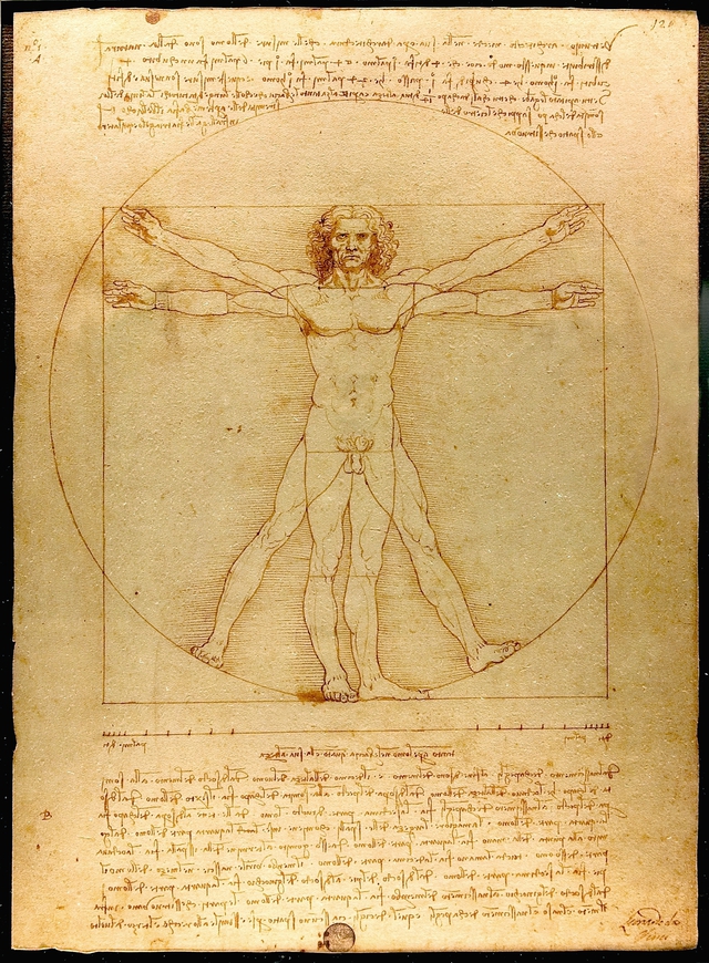 Hơn 500 năm sau Leonardo da Vinci, tỷ lệ cơ thể của đàn ông Việt có còn khớp với "Người Vitruvius"? - Ảnh 5.