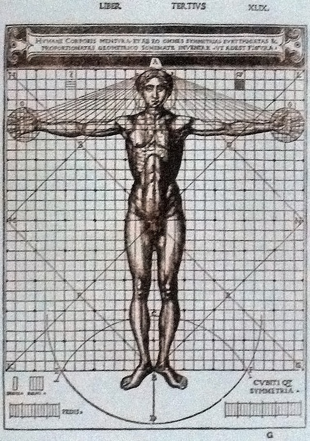 Hơn 500 năm sau Leonardo da Vinci, tỷ lệ cơ thể của đàn ông Việt có còn khớp với "Người Vitruvius"? - Ảnh 2.