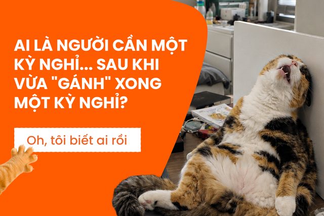 Tìm 5 “người gánh team” du lịch mệt mỏi nhất để đưa sang Thụy Sĩ - Ảnh 1.