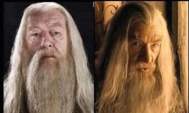
Bên trái là Michael Gambon trong vai Dumbledore, bên phải là Gandalf với thể hiện của Ian McKelle.
