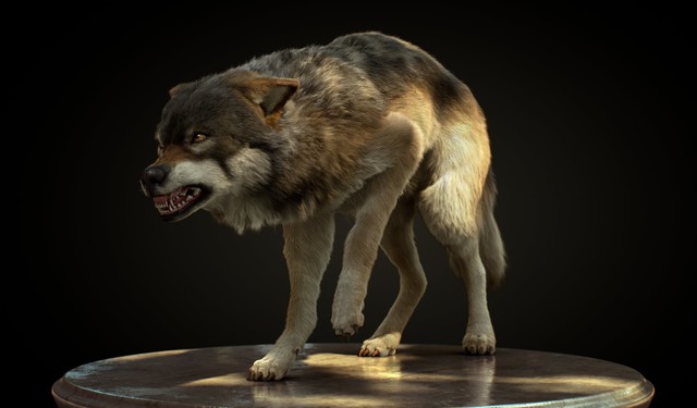 
Vì chú sói này đứng trên một chiếc đĩa tròn nên chúng ta mới nhận ra được sự thiếu tự nhiên từ mô hình.
