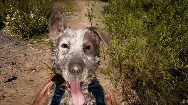 
Tương tự như trailer ở E3, đoạn clip giới thiệu mới nhất của Far Cry 5 cũng tập trung khá nhiều vào chú cùn này.
