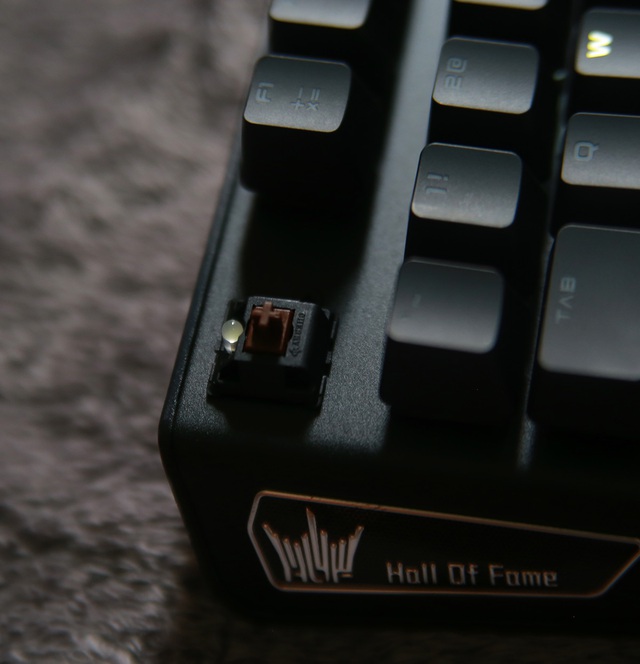 
GALAX HOF Gaming Keyboard sử dụng switch cherry cao cấp, chiếc tôi đang dùng ở đây là brown switch.
