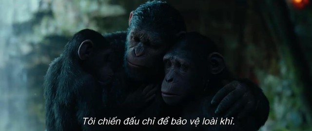 Ceasar bị phản bội trong trailer mới của War For The Planet Of The Apes - Ảnh 3.
