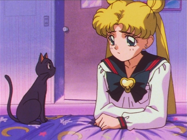 
Cô nàng mèo Luna là một người bạn rất thân thiết luôn giúp đỡ Usagi trong Thủy Thủ Mặt Trăng.
