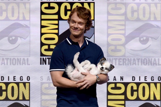 
Theon Greyjoy của Alfie Allen thì đem hẳn một em cún tên là Abby cho ngồi vào lòng
