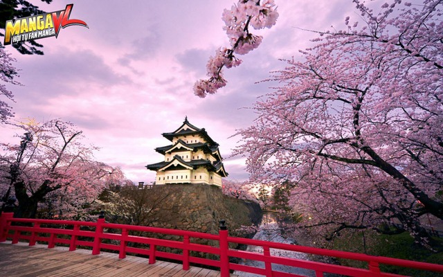 Hầu như tất cả các fan Anime đều đã từng mơ ước được đến Nhật Bản một lần để ngắm hoa anh đào