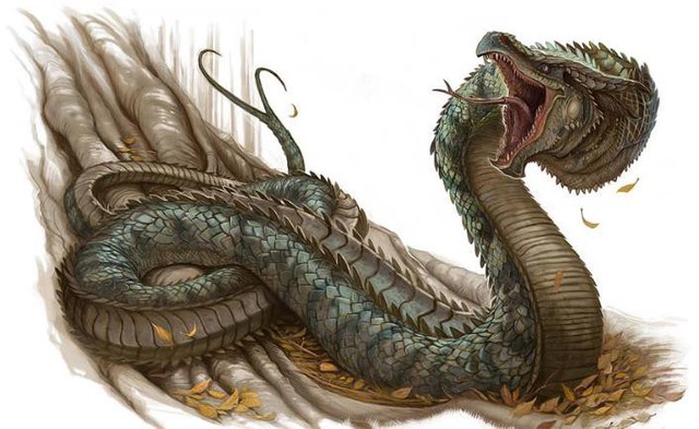 
Hình ảnh loài Wyrm, loài rồng với hình dạng của loài rắn.
