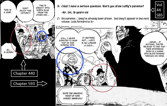 
Rất nhiều giả thuyết về người mẹ của Luffy
