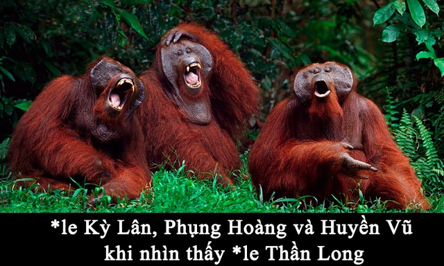 Những tấm ảnh chế cười méo miệng của cộng đồng Phi Long Tại Thiên về “anh Rồng”
