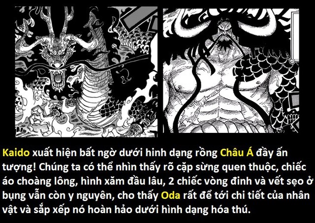 Góc soi mói One Piece 921: Kaido đã ăn trái ác quỷ Zoan thần thoại Rồng? Đạo tặc Shutenmaru chính là Ashura Douji? - Ảnh 19.