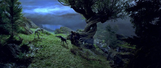 Săm soi 15 easter eggs thú vị ẩn giấu trong thế giới phù thuỷ Fantastic Beasts: The Crimes of Grindelwald - Ảnh 14.