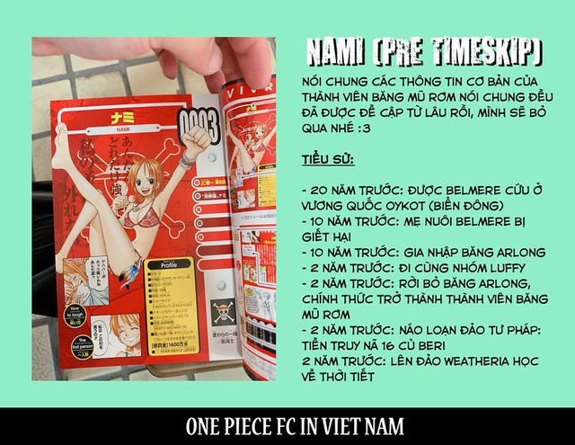 One Piece: Không phải Tứ Hoàng, đây mới chính là nhân vật có đòn tấn công khủng nhất trong các loại trái ác quỷ - Ảnh 10.