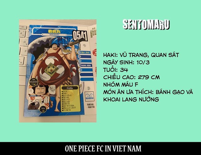 One Piece: Không phải Tứ Hoàng, đây mới chính là nhân vật có đòn tấn công khủng nhất trong các loại trái ác quỷ - Ảnh 23.