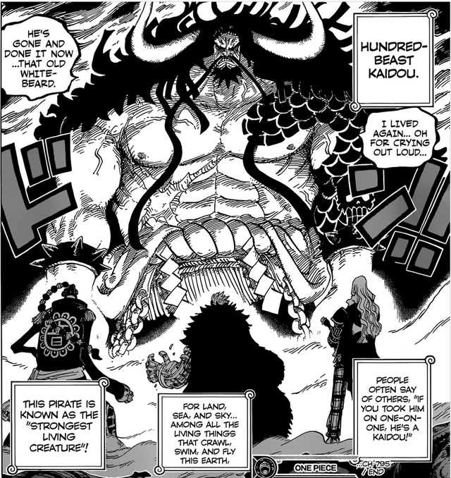 One Piece: Những lý do thuyết phục cho thấy Tứ Hoàng Kaido thực chất là một con Rồng - Ảnh 3.
