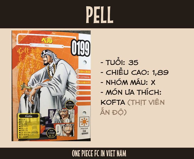 One Piece: Jinbe chính thức trở thành đồng đội của Luffy - Hé lộ thông tin thú vị về Ace và Râu Trắng - Ảnh 25.