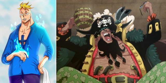 One Piece: Phượng Hoàng Marco có lẽ là người duy nhất biết về bí mật của Tứ Hoàng Blackbeard? - Ảnh 1.