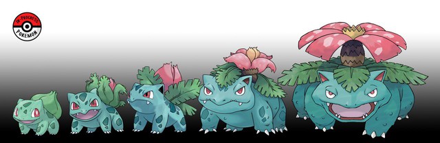 Ngắm hình dáng của hội Pokemon ở tuổi dậy thì, số 9 càng ngắm càng thấy chất - Ảnh 3.