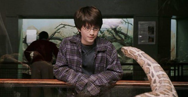 20 điều vô nghĩa mà chả mấy ai biết về bộ ba nhân vật chính của Harry Potter (P.1) - Ảnh 2.