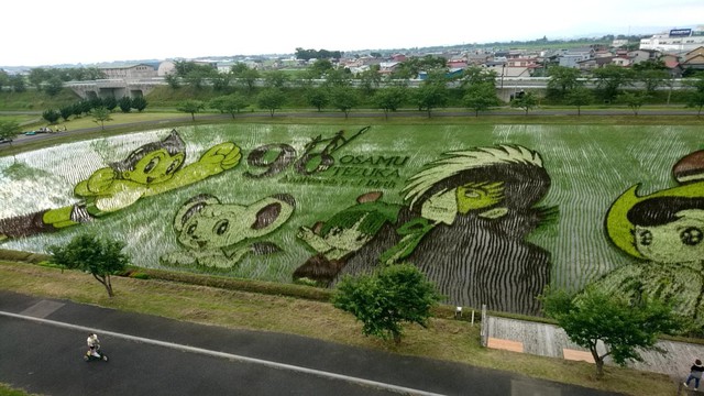[Vui] Chỉ có tại Nhật Bản, người ta mới có thể vẽ tranh ngay trên ruộng lúa! - Ảnh 1.