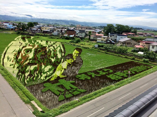 [Vui] Chỉ có tại Nhật Bản, người ta mới có thể vẽ tranh ngay trên ruộng lúa! - Ảnh 2.