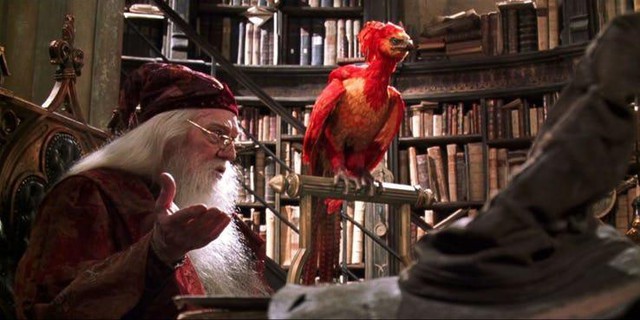 16 bí mật bất ngờ hiếm ai biết về Hiệu trưởng Dumbledore (P.1) - Ảnh 4.