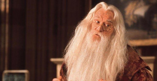 16 bí mật bất ngờ hiếm ai biết về Hiệu trưởng Dumbledore (P.2) - Ảnh 6.