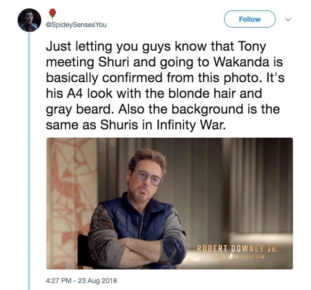 Người sắt Robert Downey Jr. gia nhập hội thánh spoil tiết lộ chi tiết về Avengers 4 - Ảnh 3.