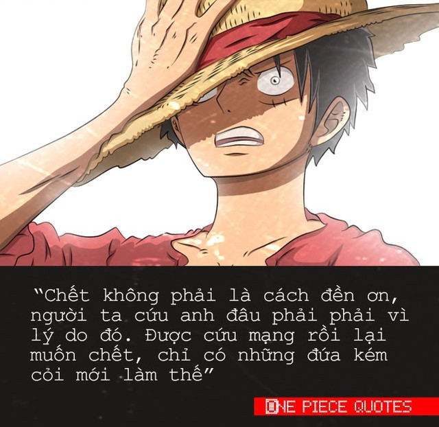 One Piece: 10 câu nói đầy cảm hứng của “Tân vương hải tặc tương lai” sẽ truyền cảm hứng sống cho bạn đấy! - Ảnh 5.