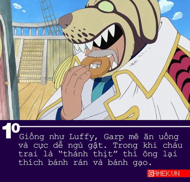 One Piece: 13 điều thú vị xung quanh “Anh hùng hải quân” từng đánh nhau thừa sống thiếu chết với cựu Vua hải tặc - Ảnh 10.