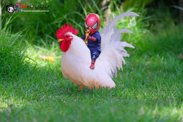 Vui là chính: Khi Spider-Man cùng biệt đội thú cưng đi giải cứu thế giới - Ảnh 4.