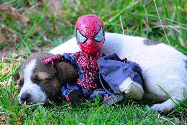 Vui là chính: Khi Spider-Man cùng biệt đội thú cưng đi giải cứu thế giới - Ảnh 5.