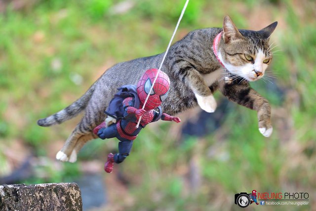 Vui là chính: Khi Spider-Man cùng biệt đội thú cưng đi giải cứu thế giới - Ảnh 7.