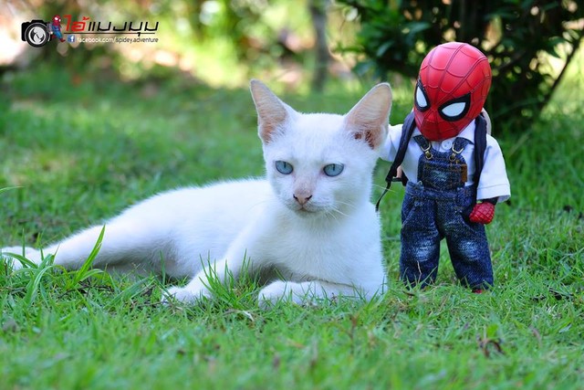 Vui là chính: Khi Spider-Man cùng biệt đội thú cưng đi giải cứu thế giới - Ảnh 13.