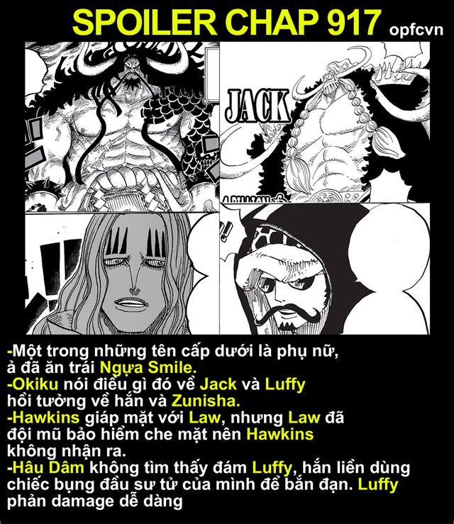 Spoiler One Piece 917: Nhân mã gợi cảm xuất hiện - Luffy một đấm hạ gục tướng quân mặt người bụng sư tử của Kaido - Ảnh 4.