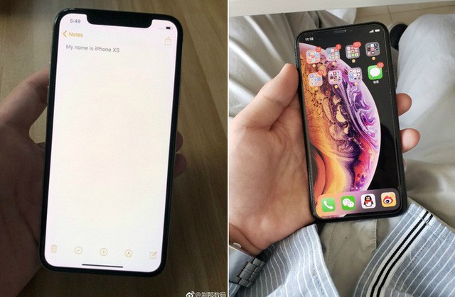 iPhone Xs lộ ảnh trên tay trước giờ G, hóa ra hình nền mới là để che tai thỏ - Ảnh 2.