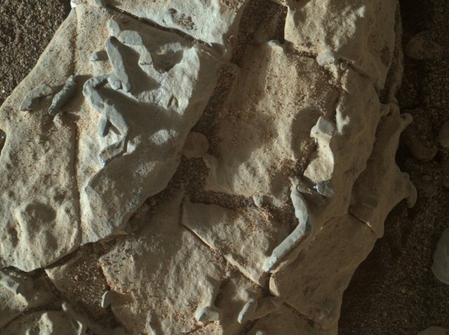 NASA che giấu bằng chứng sự sống trên sao Hỏa? - Ảnh 2.