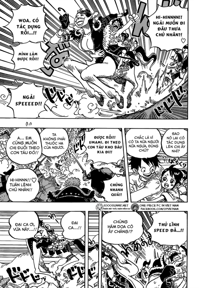 Spoil One Piece 919: Băng Mũ Rơm hội tụ đầy đủ - Hé lộ lời nguyền xuyên không của các Võ sĩ đạo - Ảnh 1.