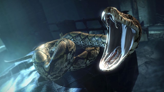 Fantastic Beasts 2: Liệu Chúa Tể Hắc Ám Voldemort có xuất hiện cùng nàng rắn xinh đẹp Nagini? - Ảnh 3.