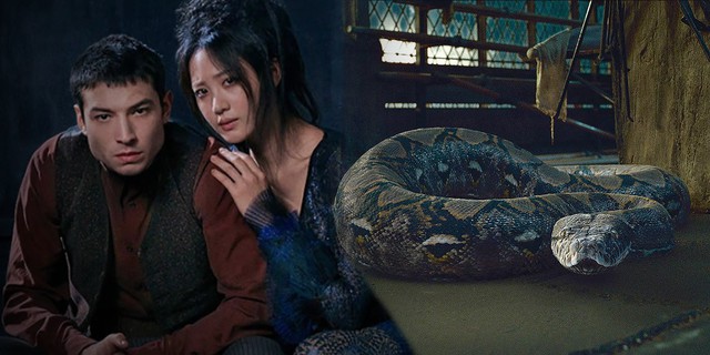 Fantastic Beasts 2: Liệu Chúa Tể Hắc Ám Voldemort có xuất hiện cùng nàng rắn xinh đẹp Nagini? - Ảnh 1.