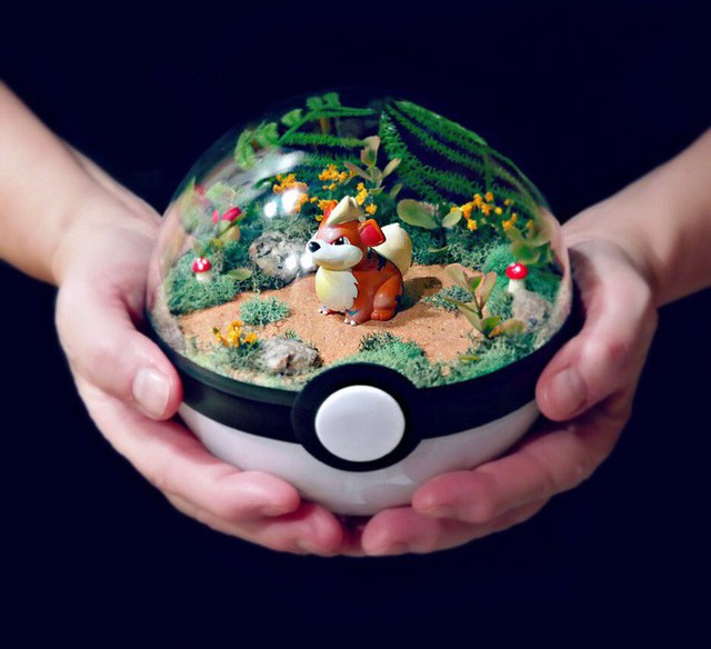 Những khu vườn Pokeball trong lòng bàn tay khiến fan ruột Pokemon thích mê từ cái nhìn đầu tiên - Ảnh 1.