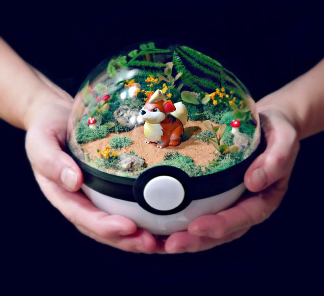 Những khu vườn Pokeball trong lòng bàn tay khiến fan ruột Pokemon thích mê từ cái nhìn đầu tiên - Ảnh 2.