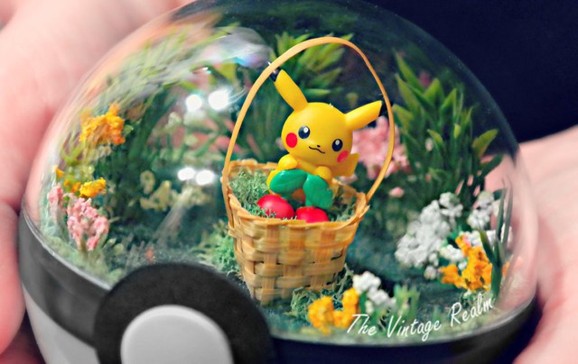 Những khu vườn Pokeball trong lòng bàn tay khiến fan ruột Pokemon thích mê từ cái nhìn đầu tiên - Ảnh 4.