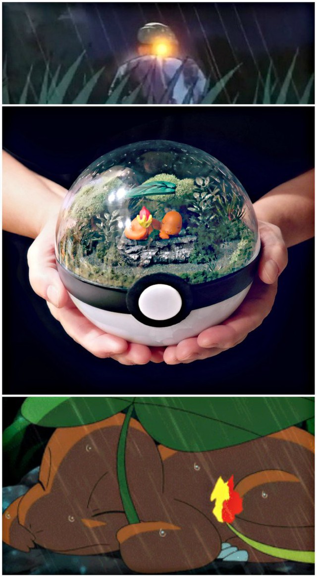 Những khu vườn Pokeball trong lòng bàn tay khiến fan ruột Pokemon thích mê từ cái nhìn đầu tiên - Ảnh 7.