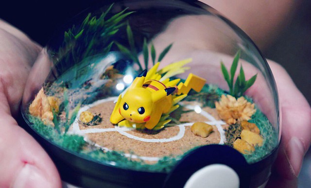 Những khu vườn Pokeball trong lòng bàn tay khiến fan ruột Pokemon thích mê từ cái nhìn đầu tiên - Ảnh 10.