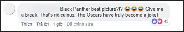 Hậu đề cử Oscar 2019: Dân mạng rần rần chửi bới Viện Hàn lâm vì đề cử Black Panther là Phim Xuất sắc - Ảnh 16.