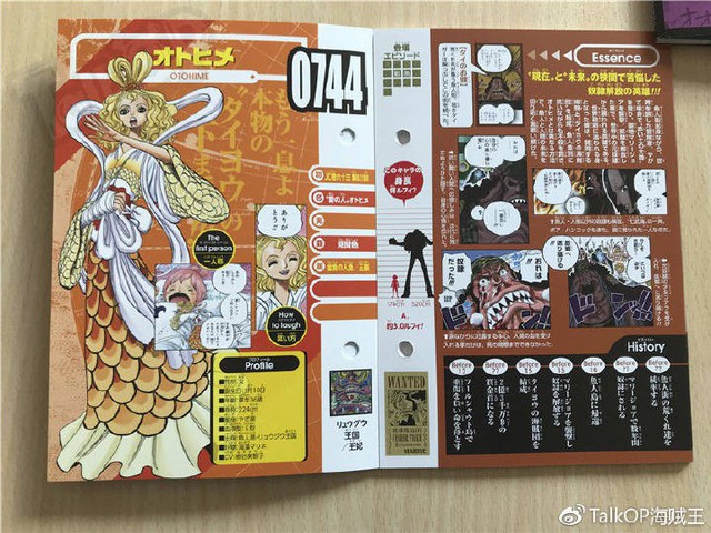 One Piece: Hé lộ thông tin về Người đàn ông nguy hiểm nhất thế giới Monkey D. Dragon, ông bố trong truyền thuyết của Luffy - Ảnh 29.