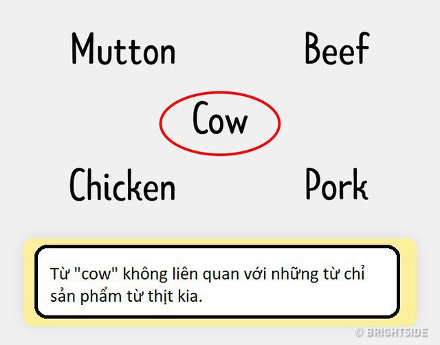 11 câu đố không dành cho người kém thông minh, bạn có muốn thử tài không? - Ảnh 27.