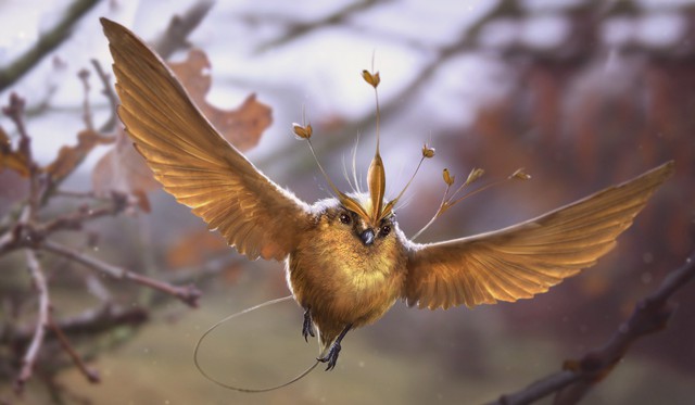 Tìm hiểu về chim Snidget - biểu tượng của trò Quidditch trong Harry Potter - Ảnh 7.