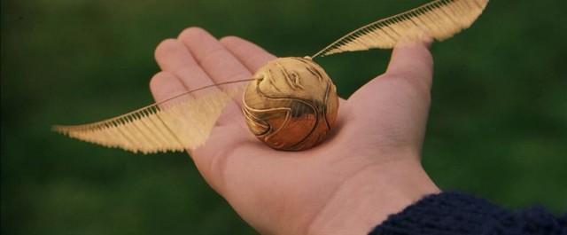 Tìm hiểu về chim Snidget - biểu tượng của trò Quidditch trong Harry Potter - Ảnh 1.
